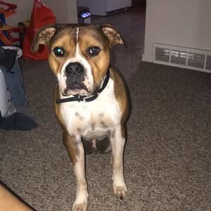 Meet your Posher, Jean